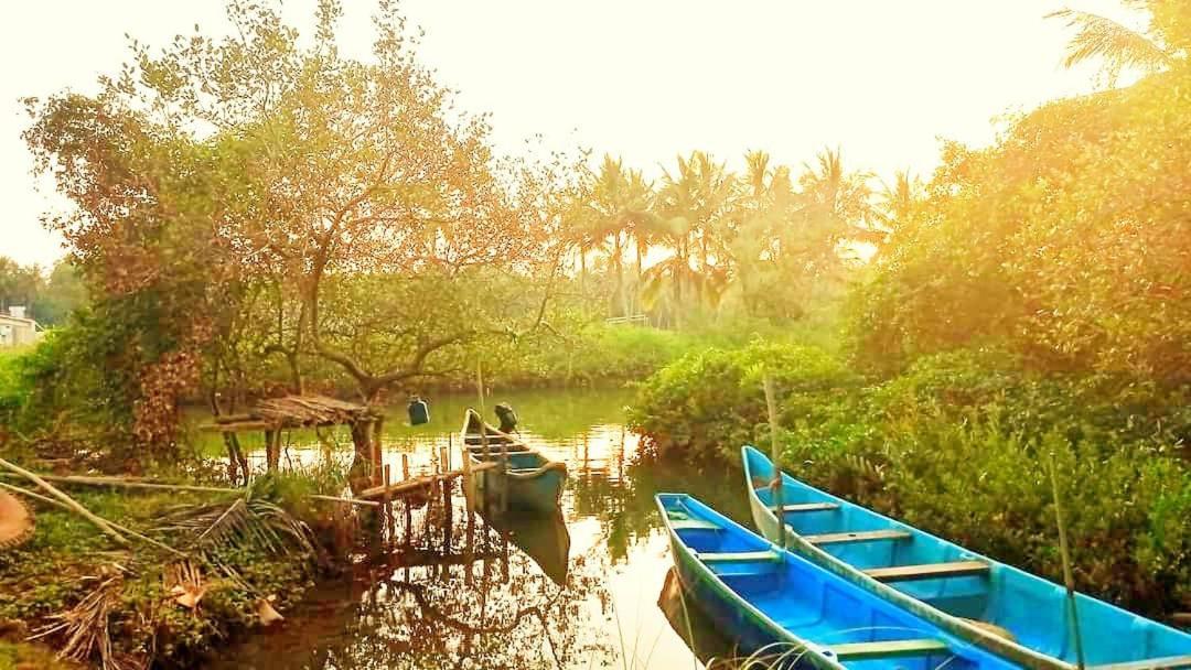 Mulappilangād Shruthi'S Aarohi-Nature'S Retreat المظهر الخارجي الصورة