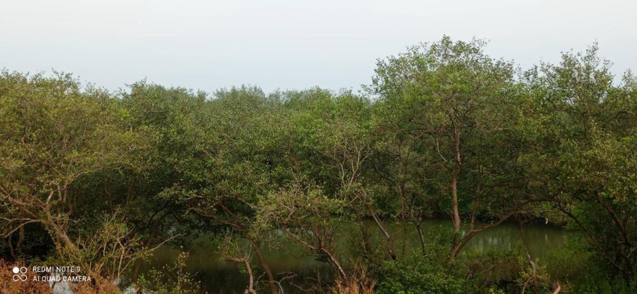 Mulappilangād Shruthi'S Aarohi-Nature'S Retreat المظهر الخارجي الصورة