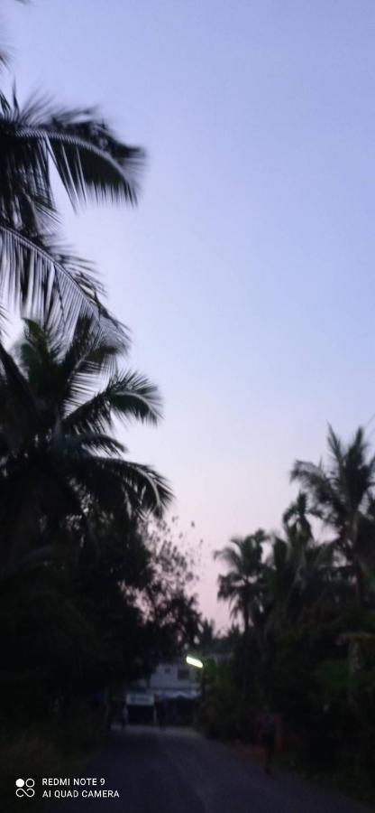 Mulappilangād Shruthi'S Aarohi-Nature'S Retreat المظهر الخارجي الصورة