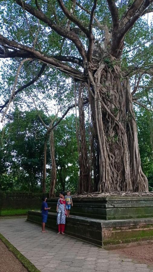 Mulappilangād Shruthi'S Aarohi-Nature'S Retreat المظهر الخارجي الصورة