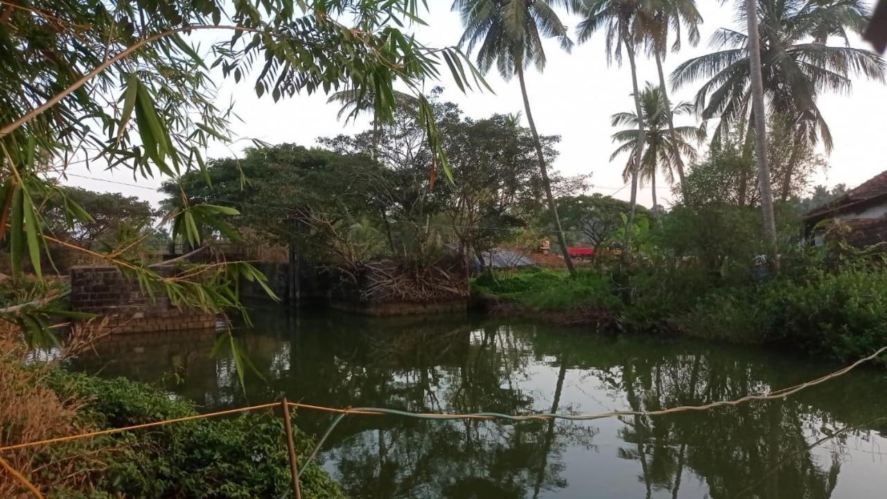 Mulappilangād Shruthi'S Aarohi-Nature'S Retreat المظهر الخارجي الصورة