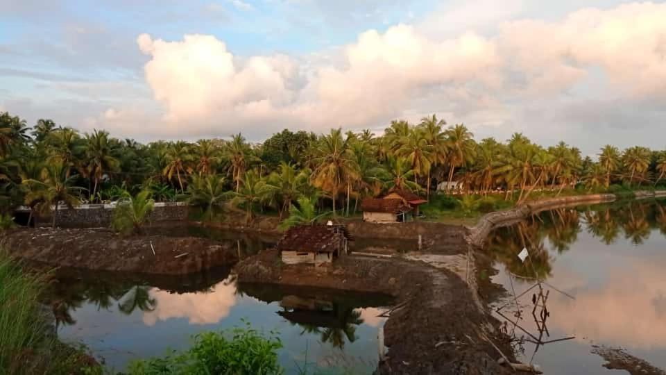 Mulappilangād Shruthi'S Aarohi-Nature'S Retreat المظهر الخارجي الصورة