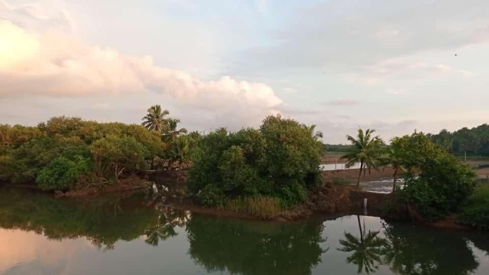 Mulappilangād Shruthi'S Aarohi-Nature'S Retreat المظهر الخارجي الصورة